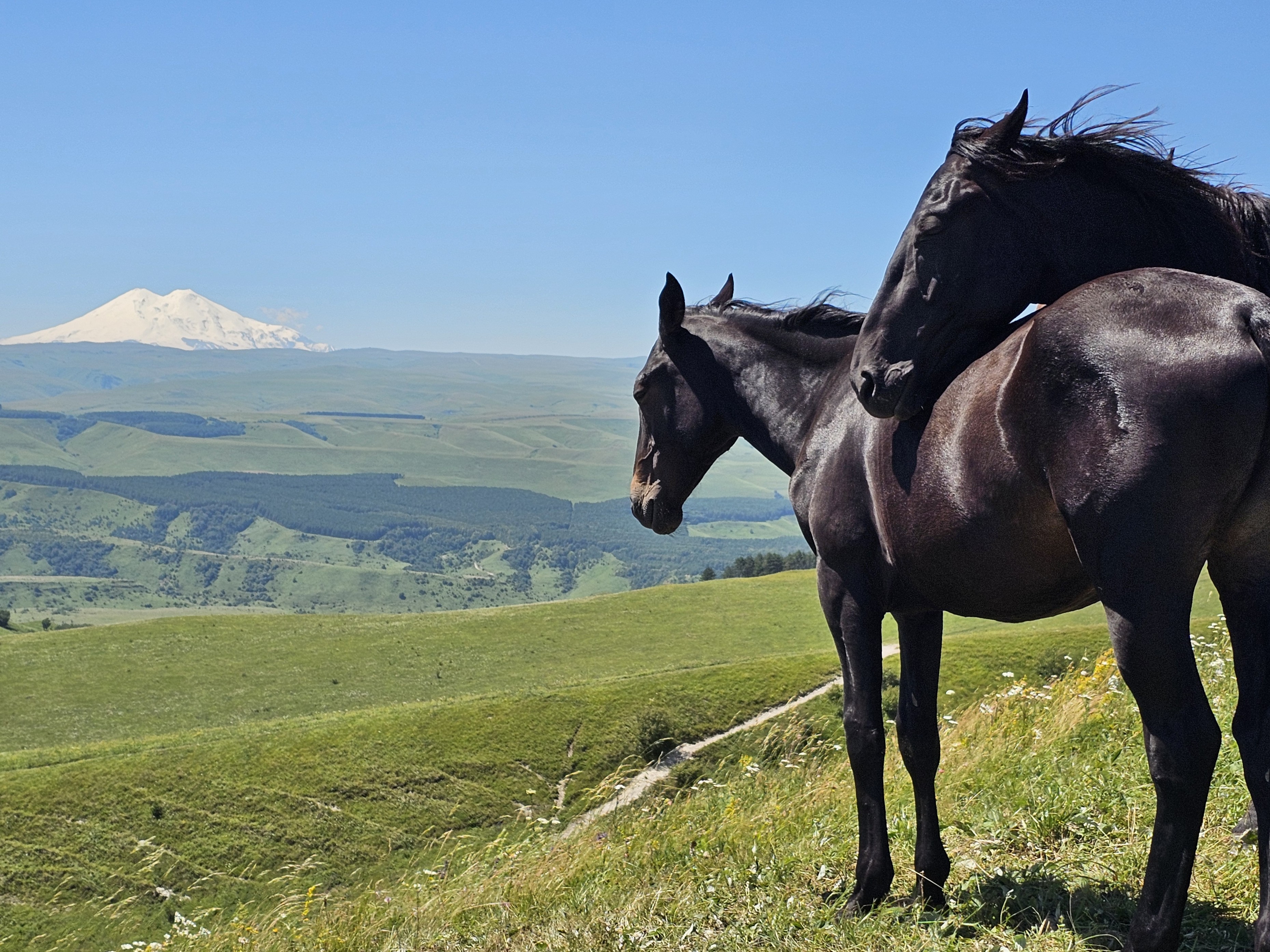Кисловодск